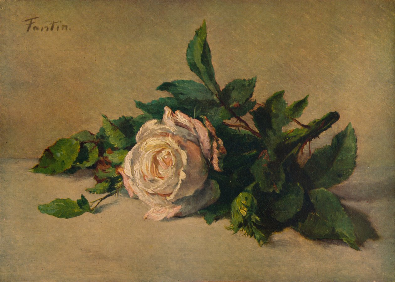 Beyaz Gül, c1863, 1938 by Ignace Henri Jean Fantin Latour