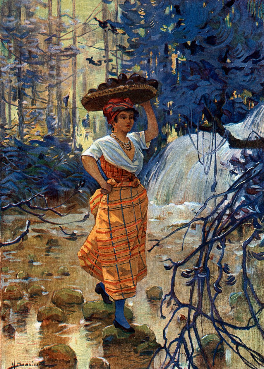 Fransız Antilleri'nden genç bir kadın kreol portresi by Henri Gaston Darien