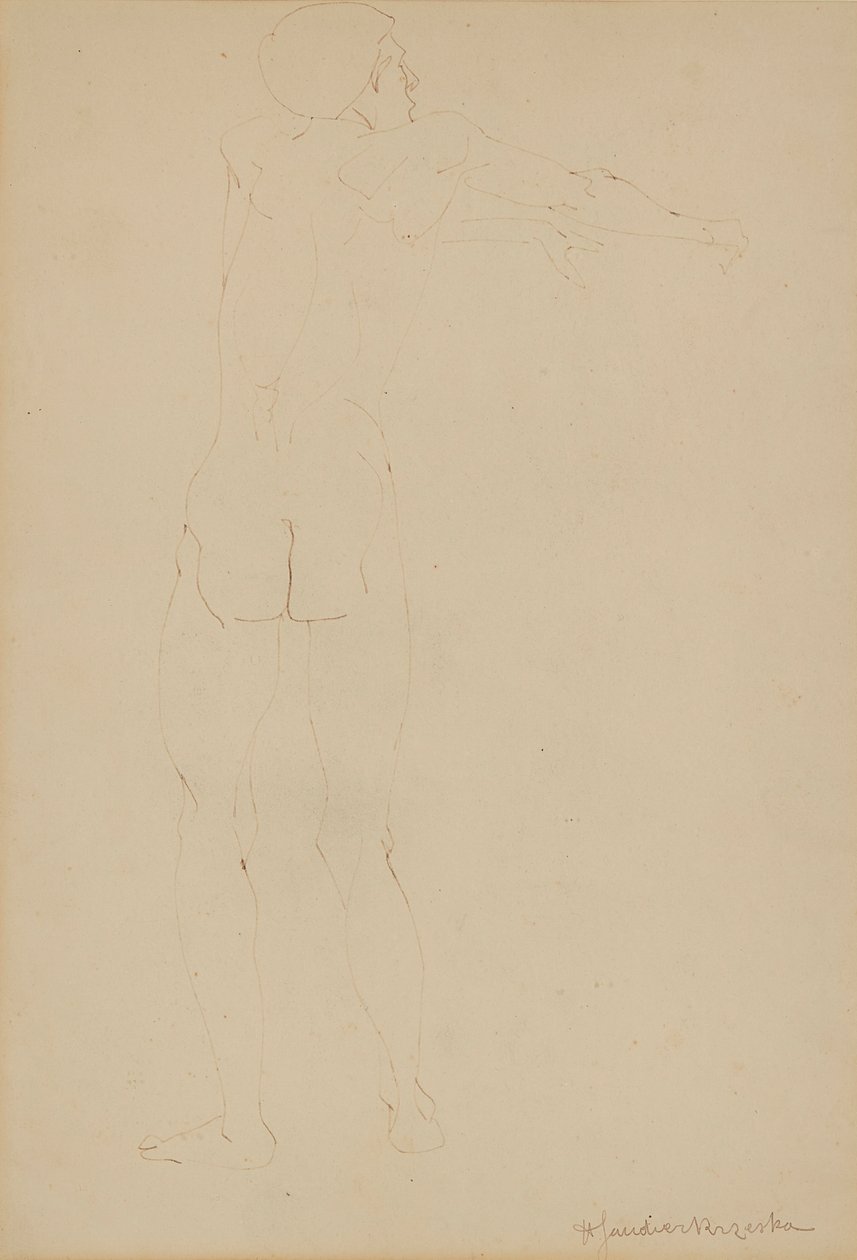 Erkek Çıplak (kağıt üzerine kalem) by Henri Gaudier Brzeska