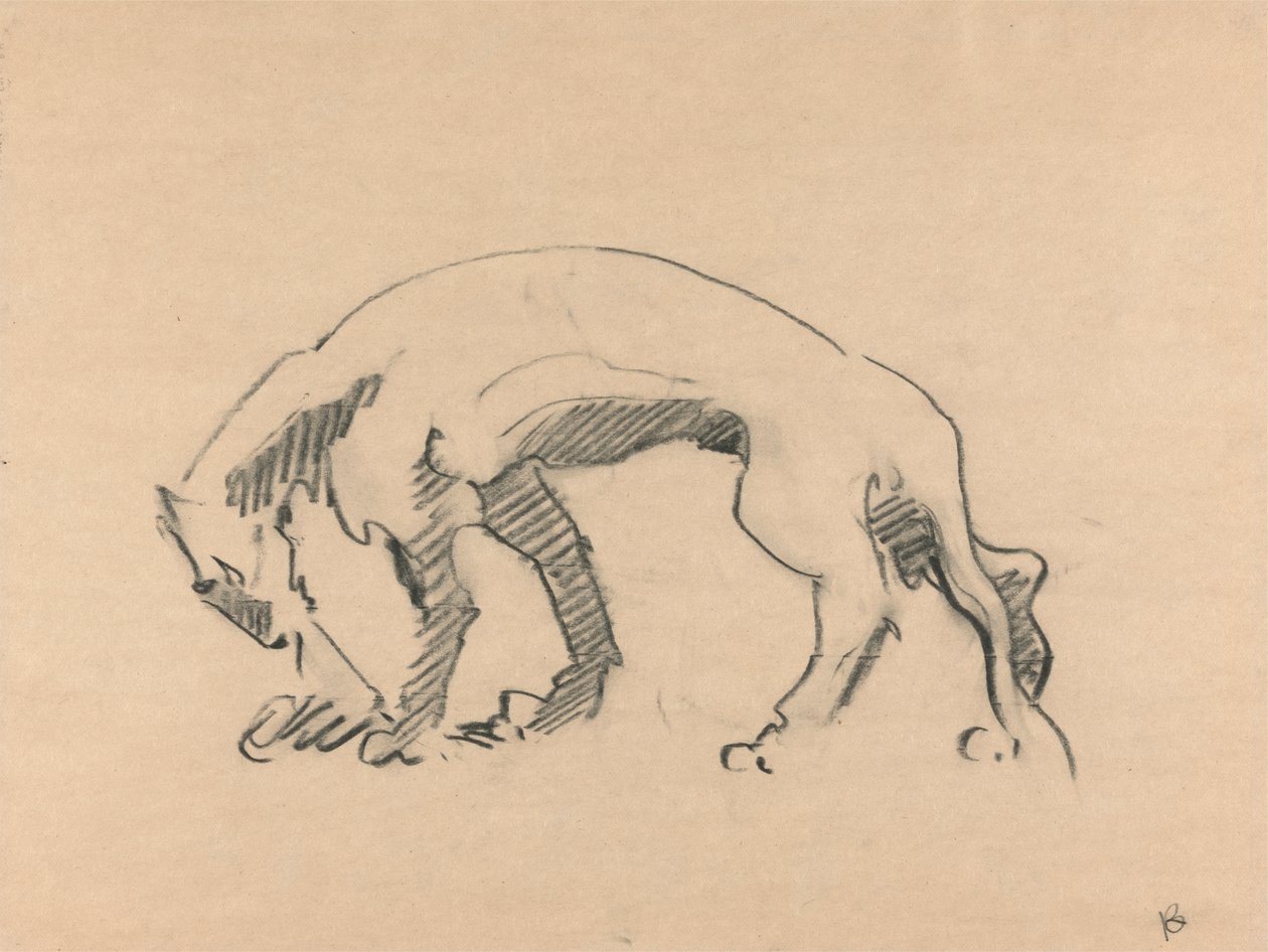 Profildeki Dişi Aslan by Henri Gaudier Brzeska