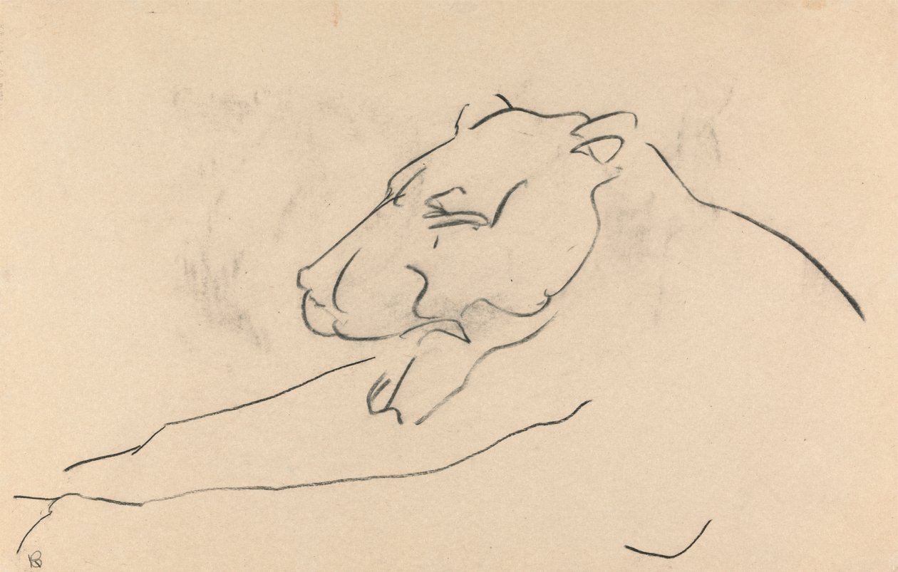 uzanmış dişi aslan by Henri Gaudier Brzeska