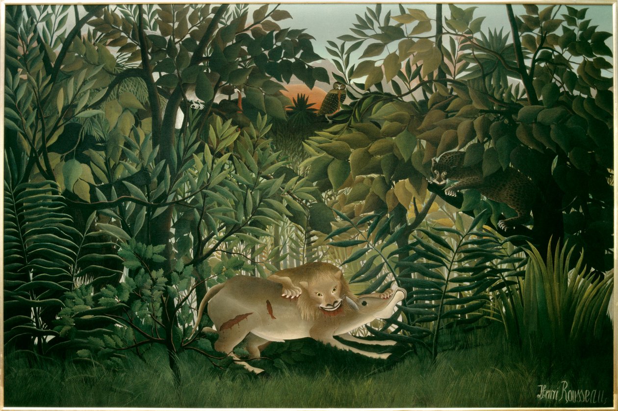 Aç aslan. Henri Rousseau dit Le Douanier Rousseau (1844-1910), 20. yüzyıl tablosu. Tuval üzerine yağlıboya. Karartma: 2,00 X 3,00m. Balya, Güzel Sanatlar Müzesi by Henri J.F. Rousseau
