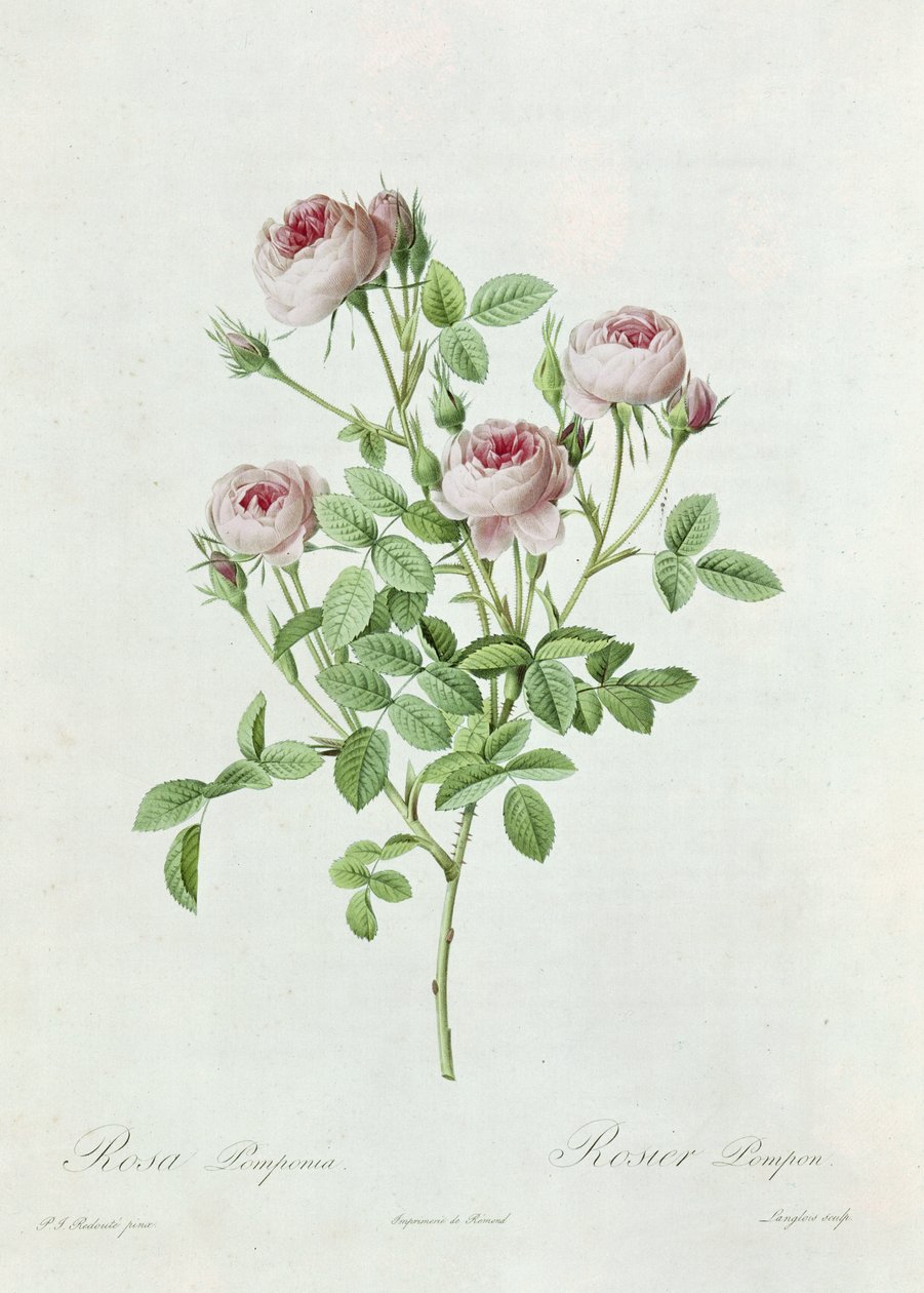 Claude Antoine Thory