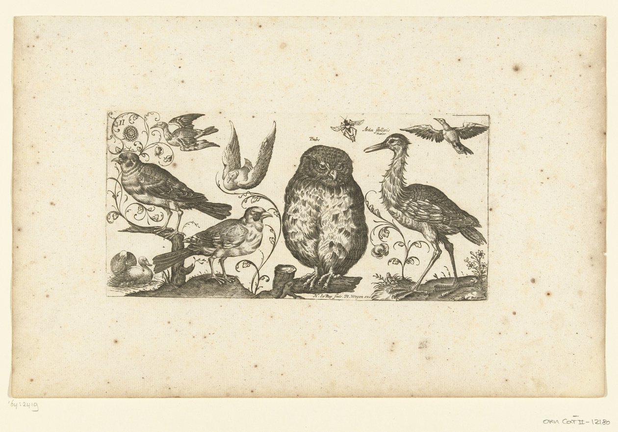 Nine Birds and an Insect Birds (dizi adı) by Henri Le Roy