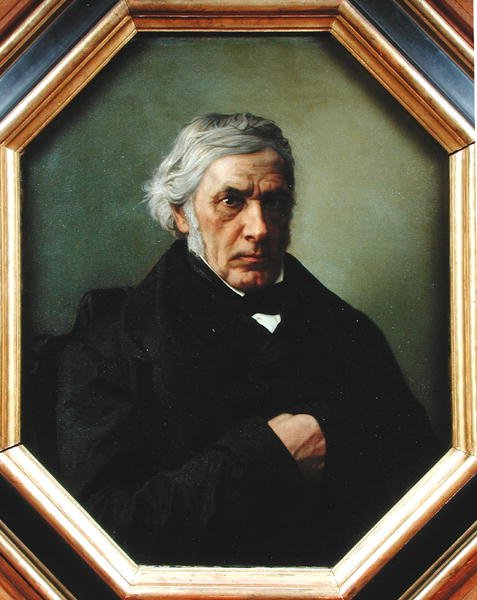 ವಿಕ್ಟರ್ ಕಸಿನ್ (1792-1867) ಟರ್ಕಿಯ ಭಾವಚಿತ್ರ by Henri Lehmann