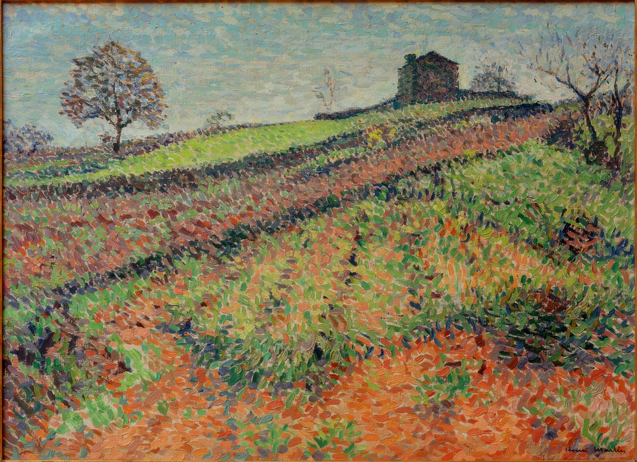 Kırsal kesim by Henri Martin