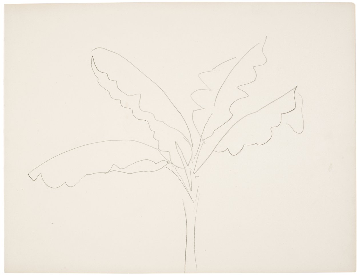 Muz ağacı (Tahiti) by Henri Matisse