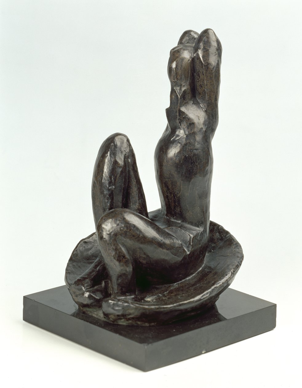  by Henri Matisse