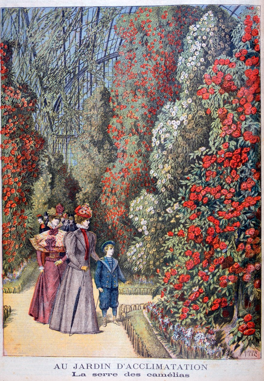 Kamelyaların serası, hayvanat bahçeleri, Paris, 1897 by Henri Meyer