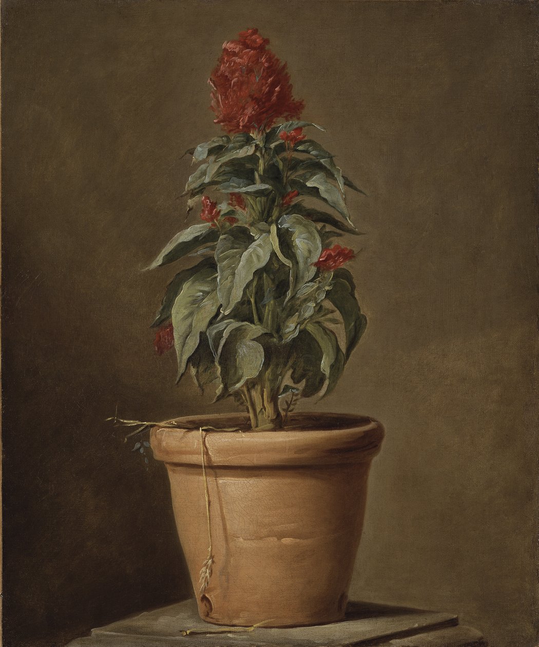 Saksı Bitkisi by Henri Roland de la Porte