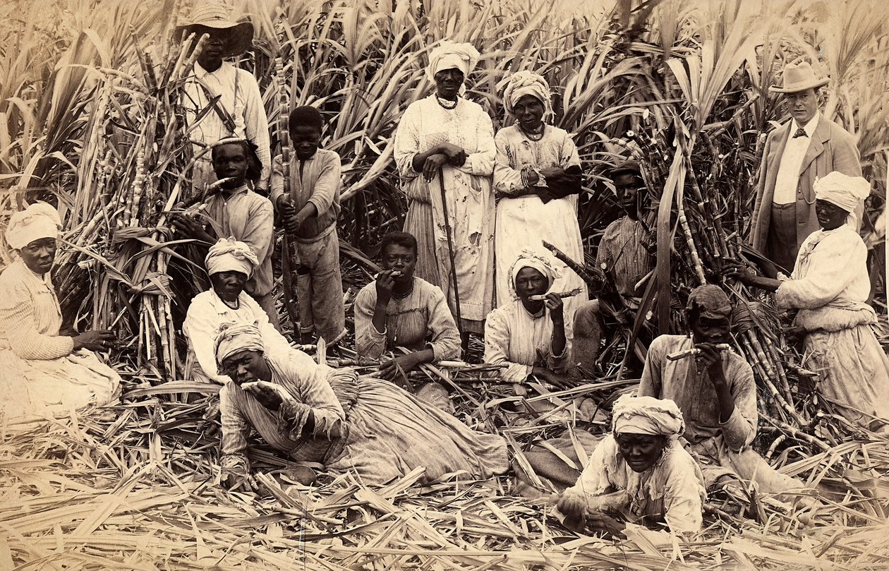 Şeker kamışı kesiciler, Jamaika by Henri S. Duperly