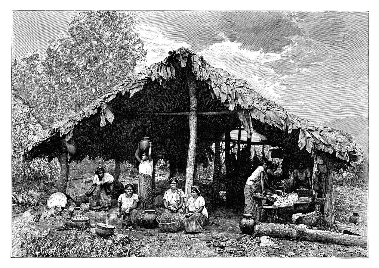 Pasifik yamacındaki sıcak toprakların Hintli kadınları, Orta Amerika, c1890 by Henri Thiriat
