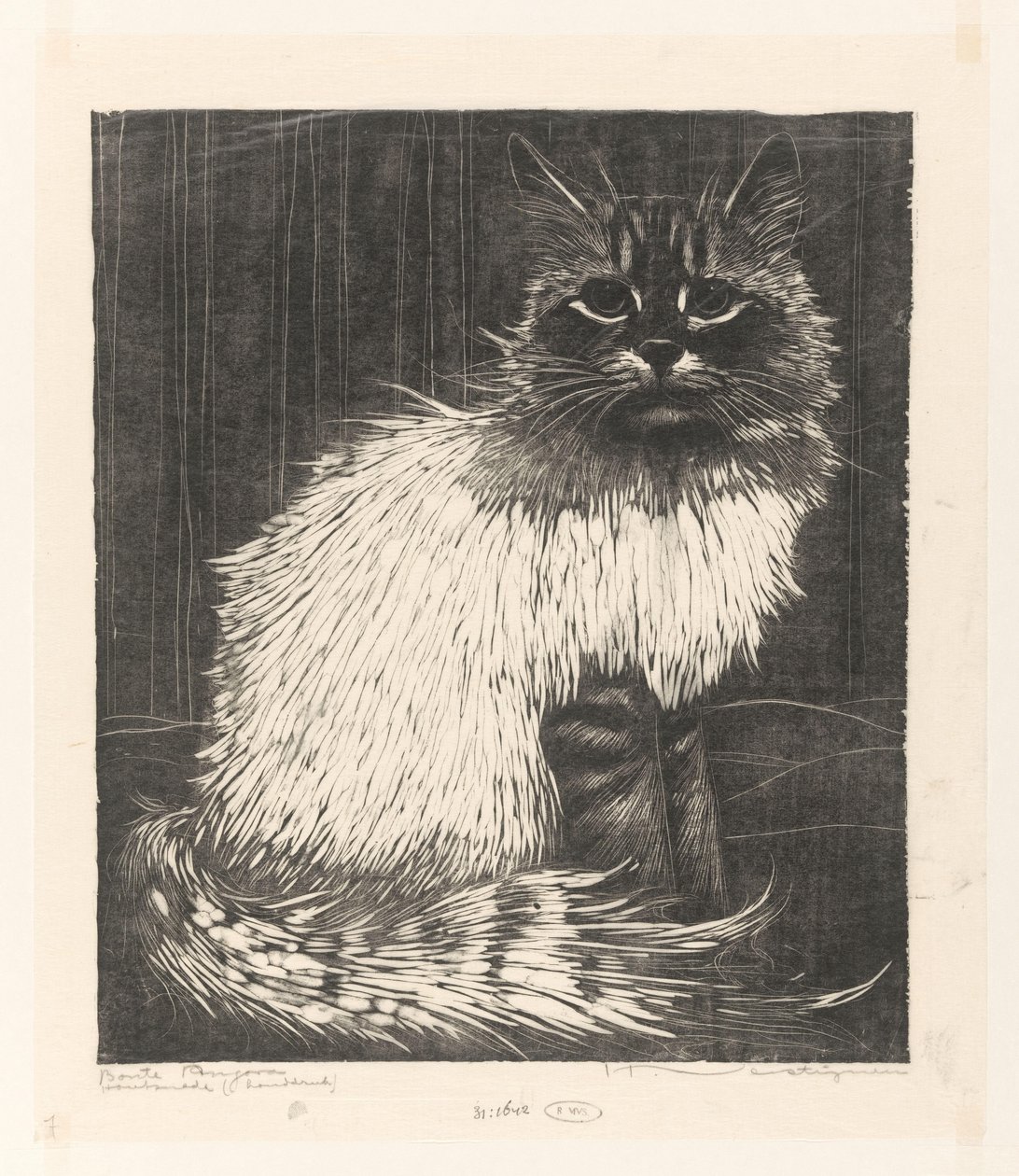 Bonte Angora (nesne üzerindeki orijinal başlık) by Henri Verstijnen (signed by artist)