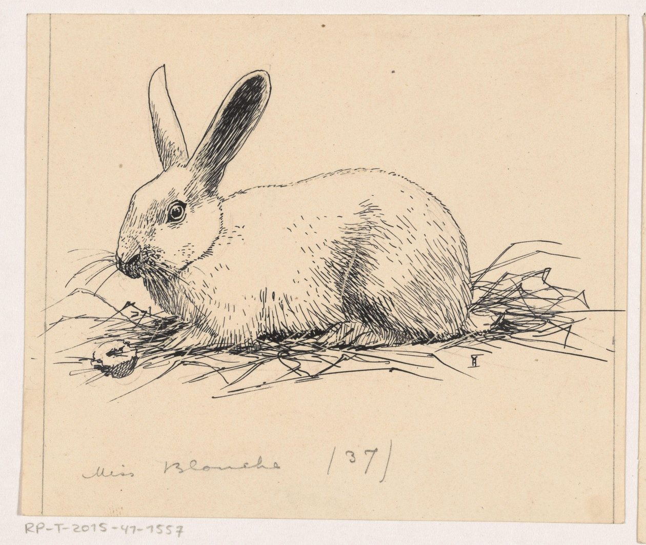 Tavşan by Henri Verstijnen (signed by artist)