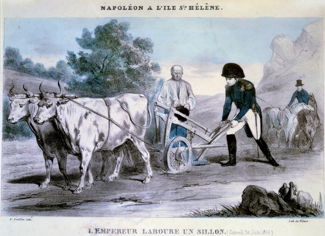 Napolyon I (1769-1821) bir Saint Helene: imparator bir karık açar (30/06/1816) Hain Litografisi. 1816 Ile d