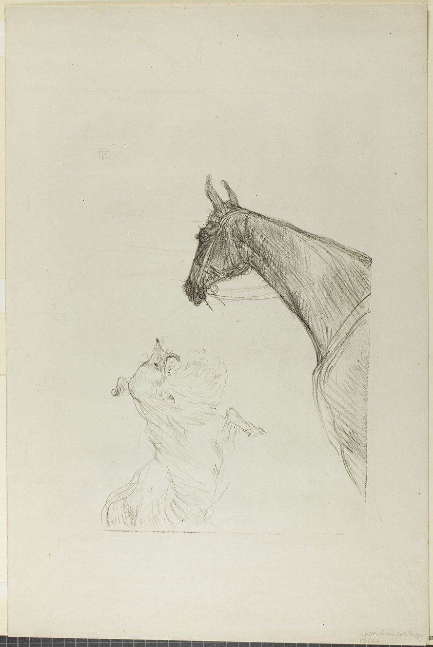 at ve kömür ocağı by Henri de Toulouse Lautrec