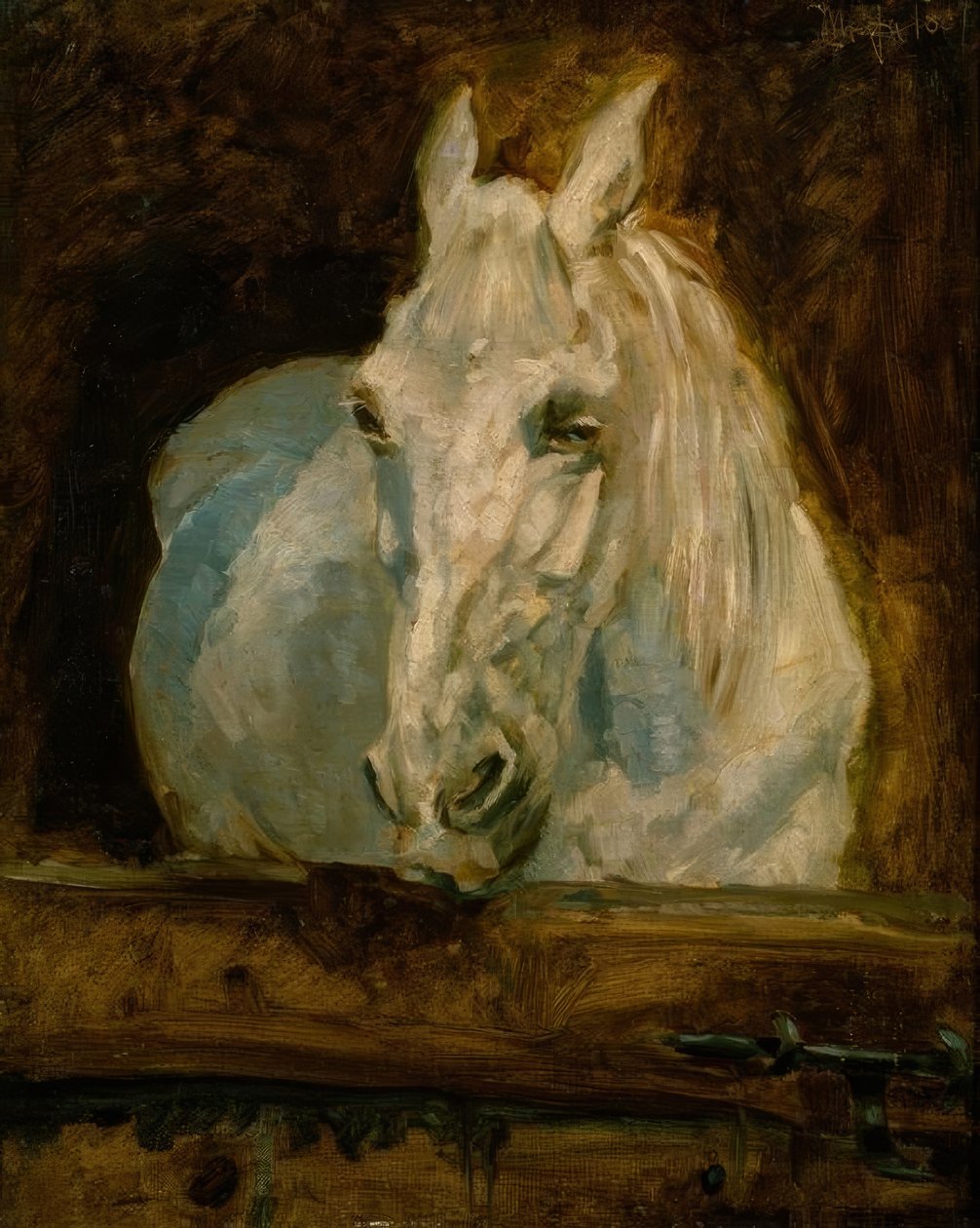 Beyaz Atlı Ceylan by Henri de Toulouse Lautrec