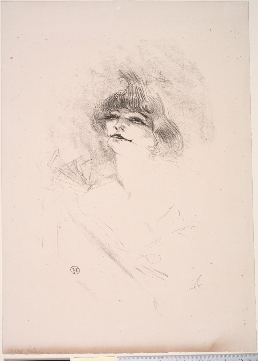 kutup by Henri de Toulouse Lautrec