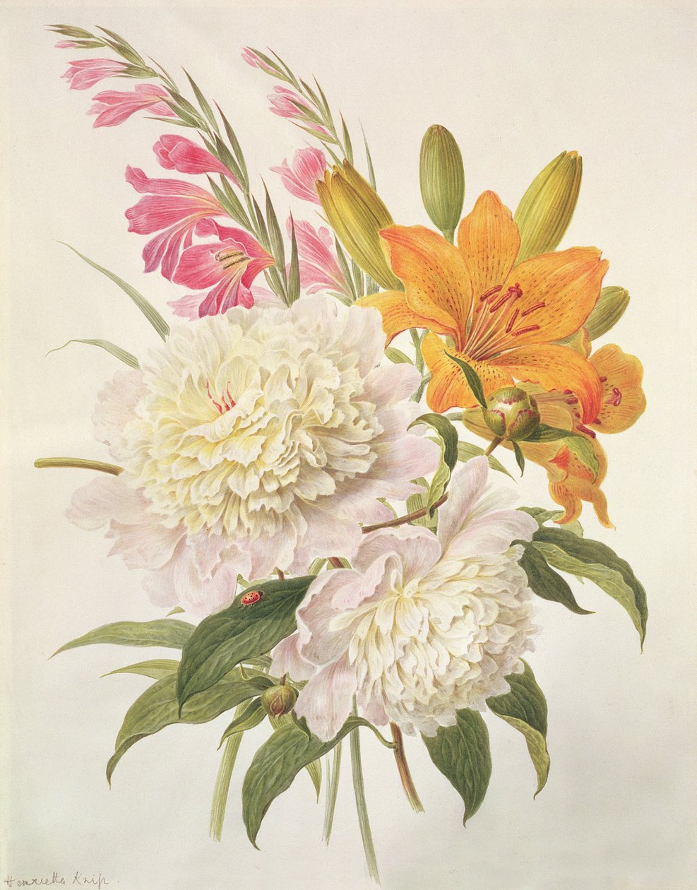 Sprays of Gladioli, Peonies and Lilium Bulbiferum  by Henriette Gertruide Knip