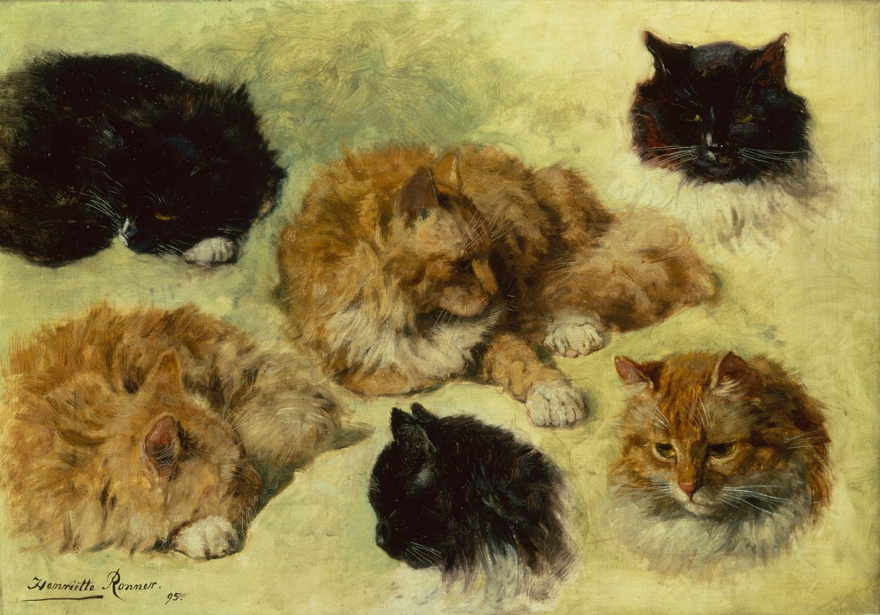 Kedi Çalışmaları by Henriëtte Ronner Knip
