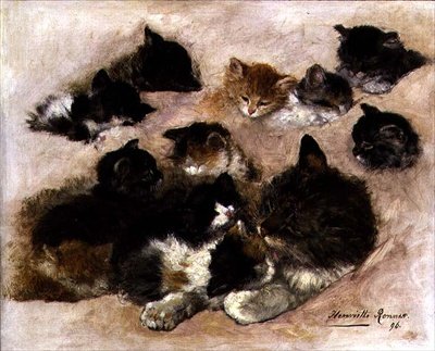 Kediler ve yavru kedi çalışmaları by Henriëtte Ronner Knip