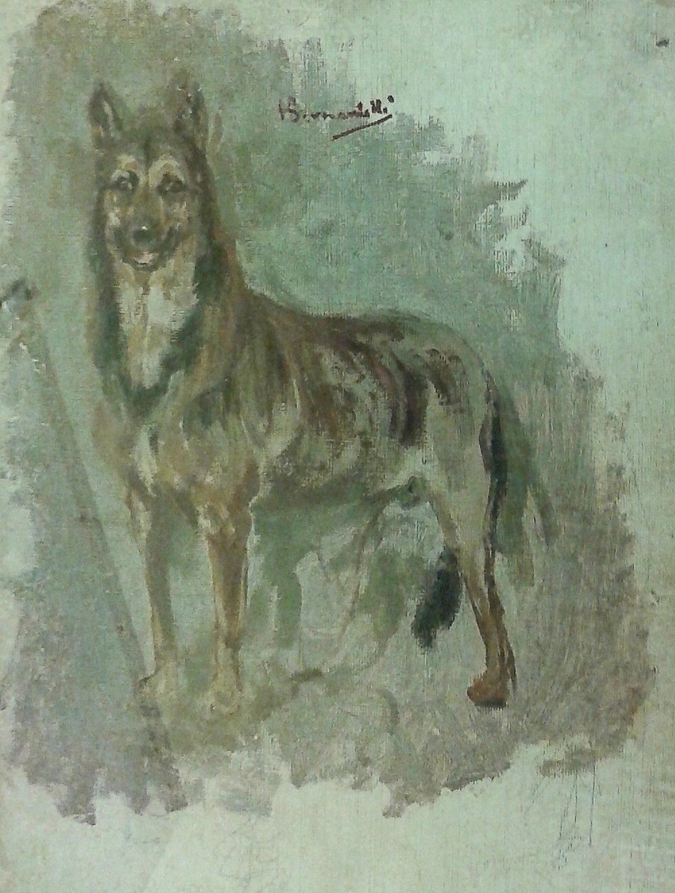 Bir hayvanın incelenmesi [Köpek] by Henrique Bernardelli
