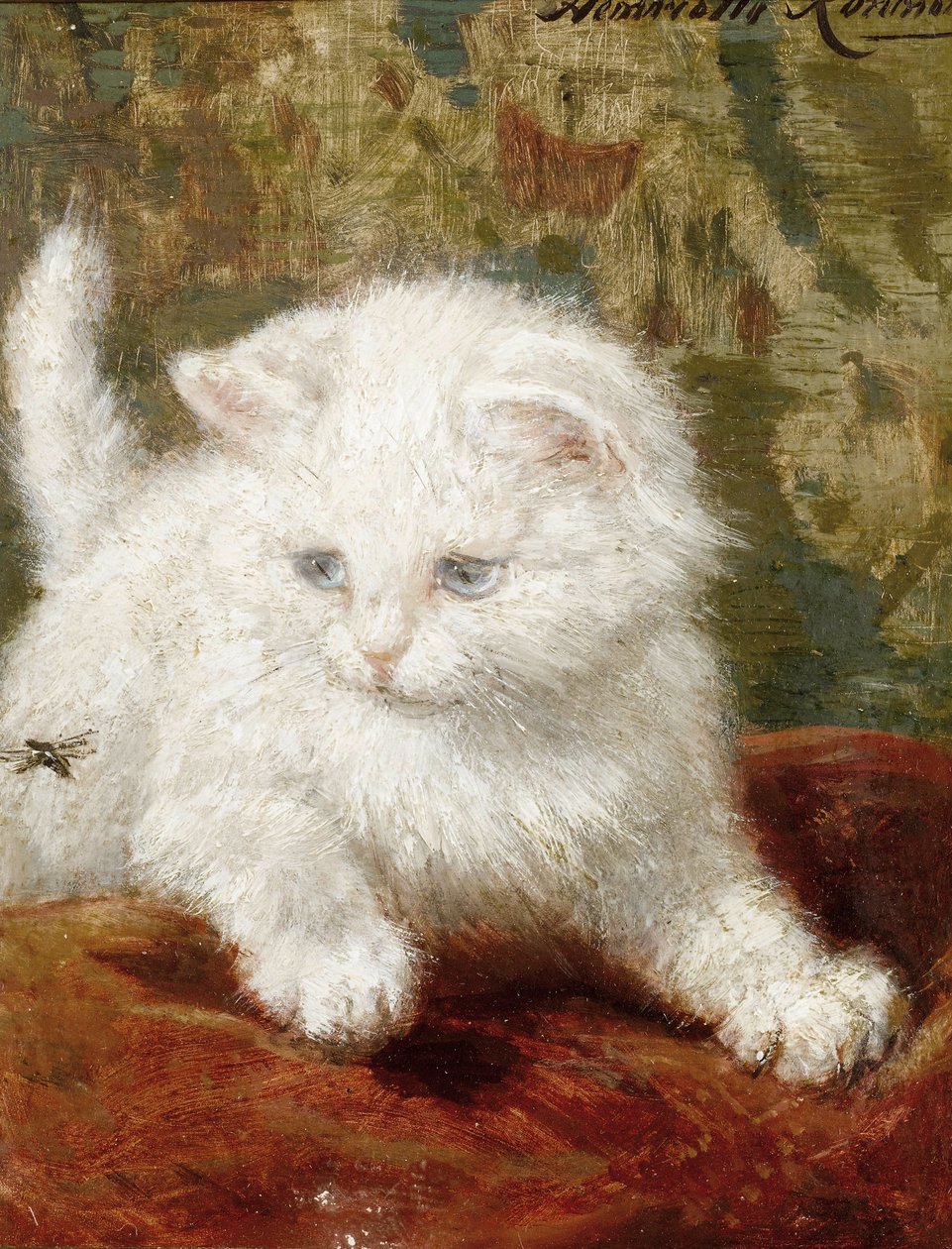 Merak by Henriëtte Ronner Knip