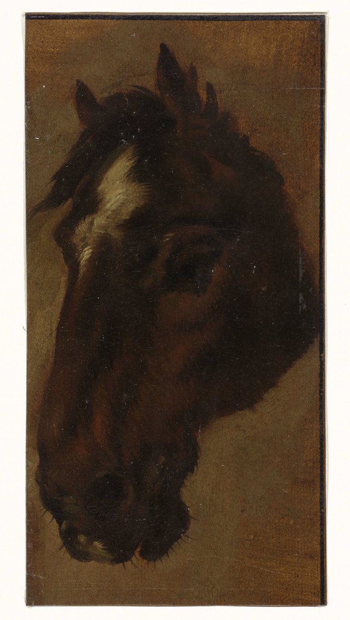 at kafası by Henriëtte Ronner