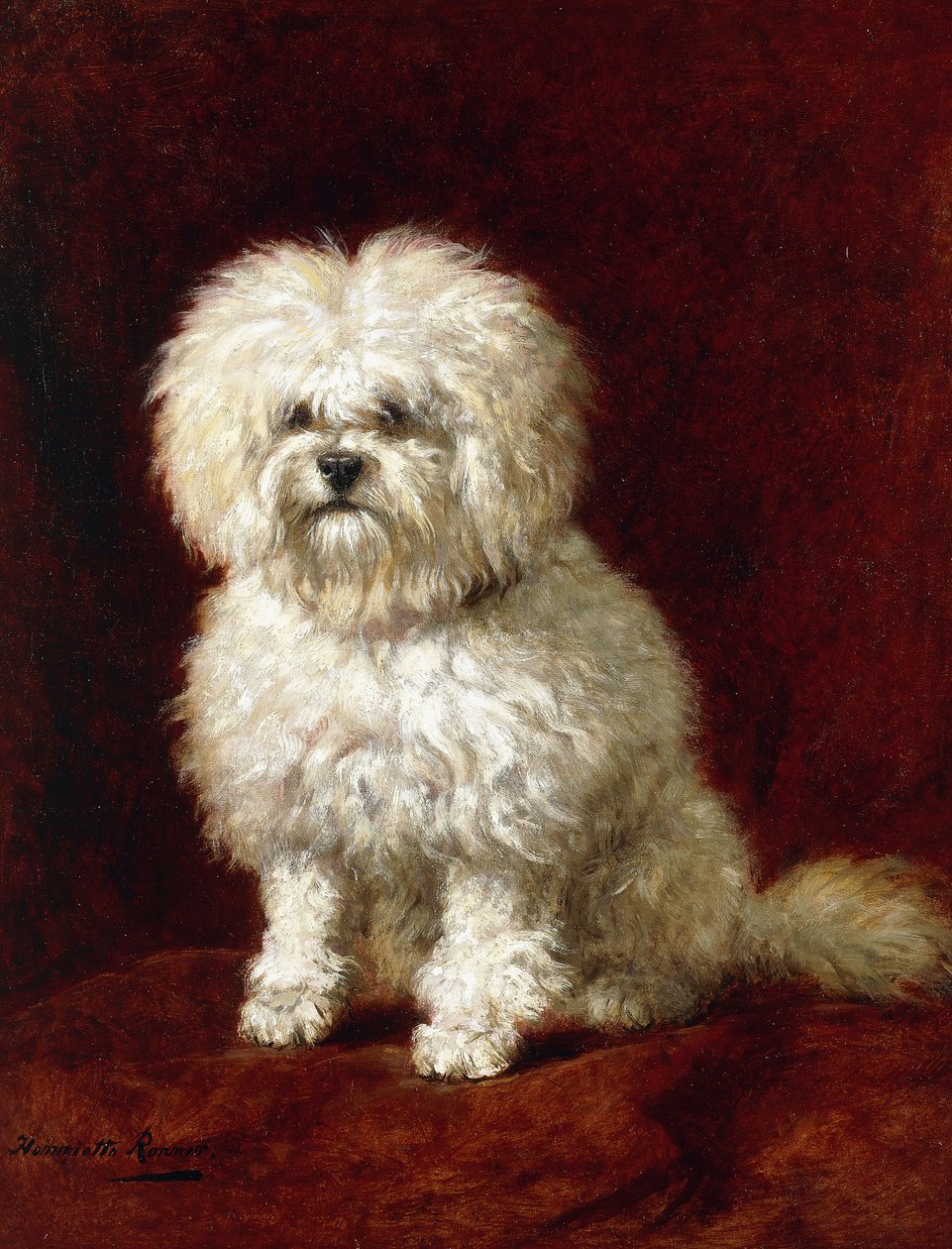 bir kaniş, by Henriëtte Ronner Knip