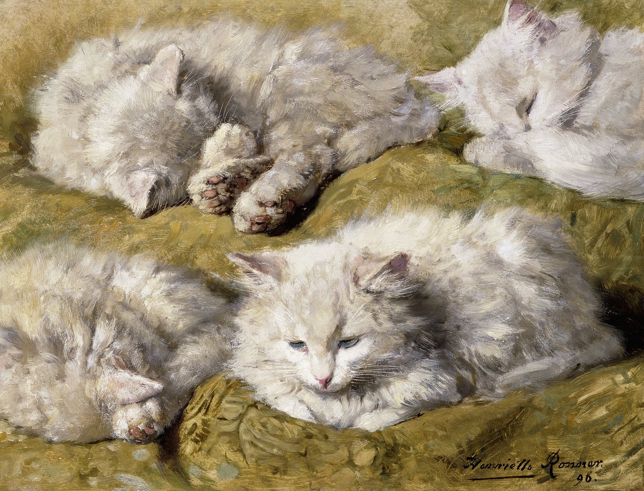Uzun Tüylü Beyaz Kedinin Çalışmaları, 1896 by Henriëtte Ronner Knip