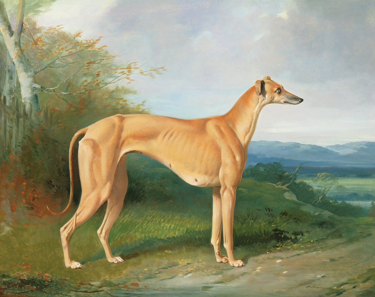 Tazı Orospu Lydia by Henry Barraud