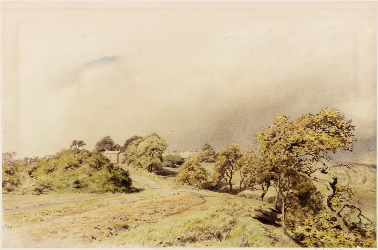 Beaumont (vücut rengi) by Henry Burdon Richardson