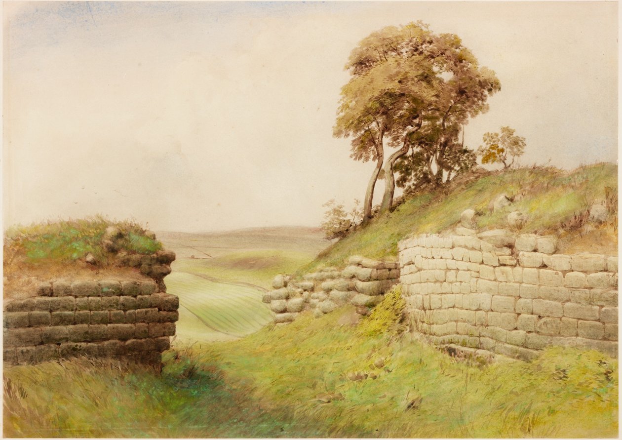 Birdoswald (vücut rengi) by Henry Burdon Richardson