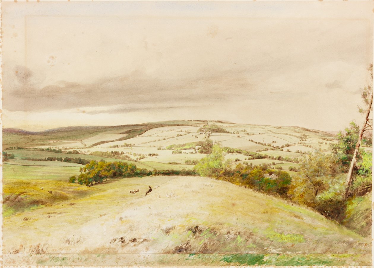 Brunton Bank (gövde rengi) by Henry Burdon Richardson