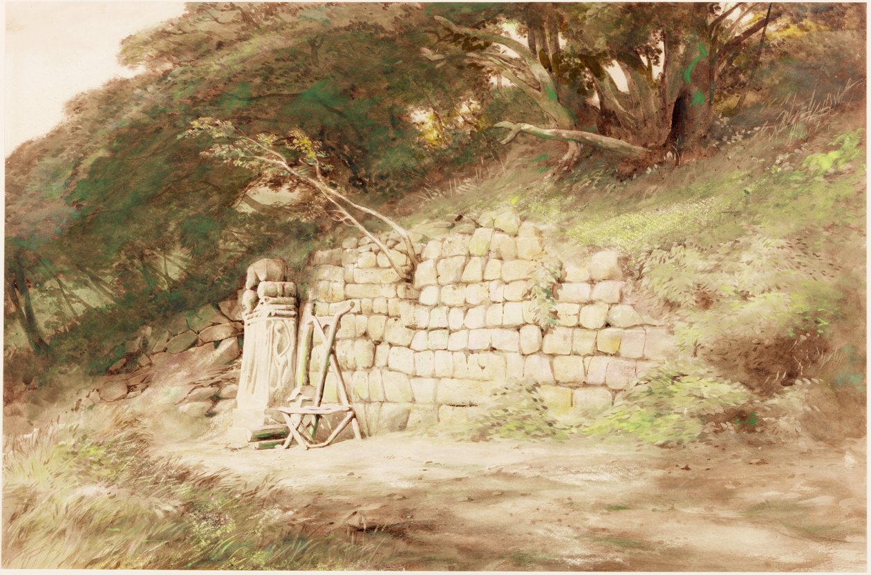 ಪೂರ್ವ ಬ್ರಂಟನ್ (ದೇಹವರ್ಣ) ಟರ್ಕ್ by Henry Burdon Richardson
