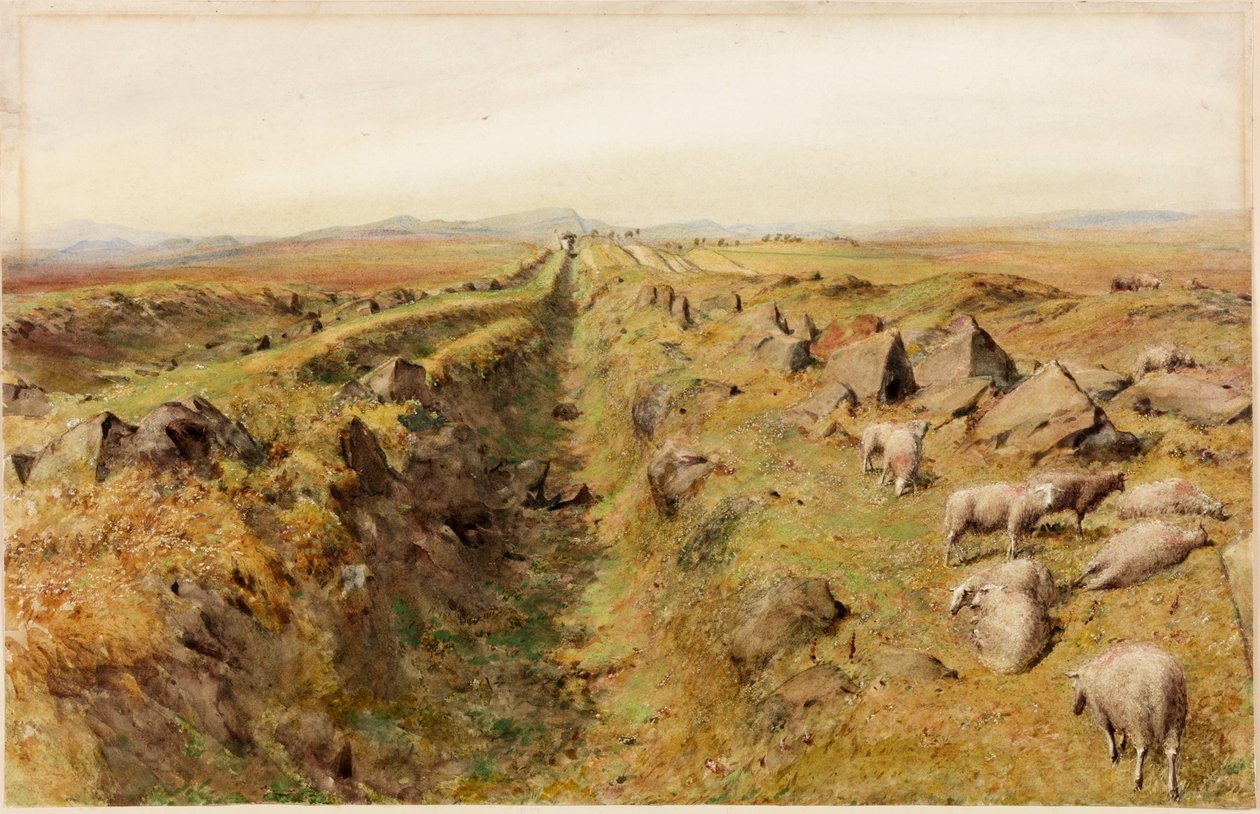Kireçtaşı Bankası (gövde rengi) by Henry Burdon Richardson