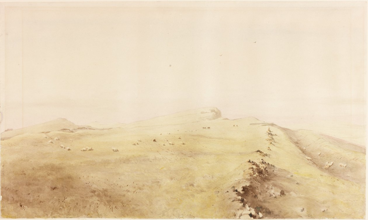 Dikiş kalkanları (kağıda kurşun kalem ve sulu boya (karta yapıştırılır)) by Henry Burdon Richardson