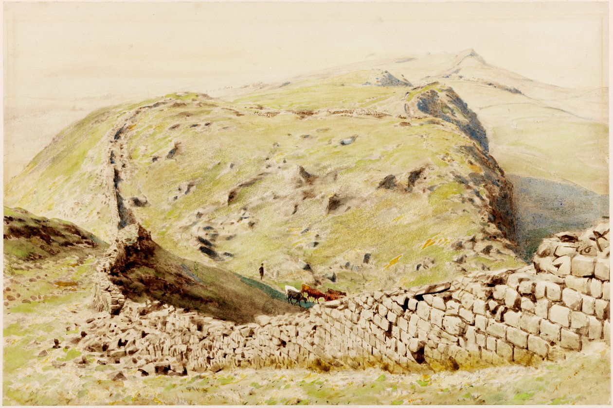 Steel-Rigg (gövde rengi) by Henry Burdon Richardson
