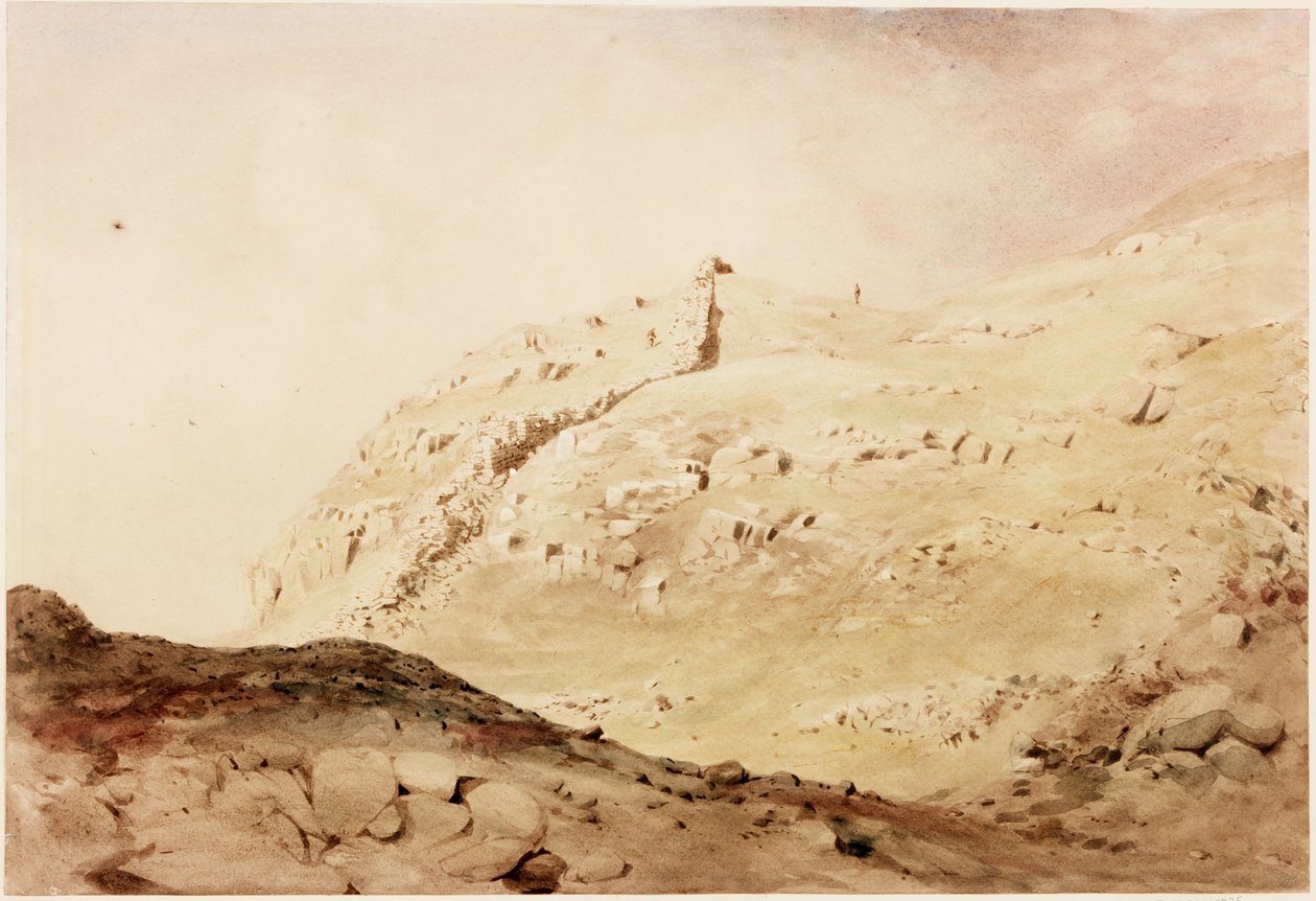 Steel-Rigg (gövde rengi) by Henry Burdon Richardson