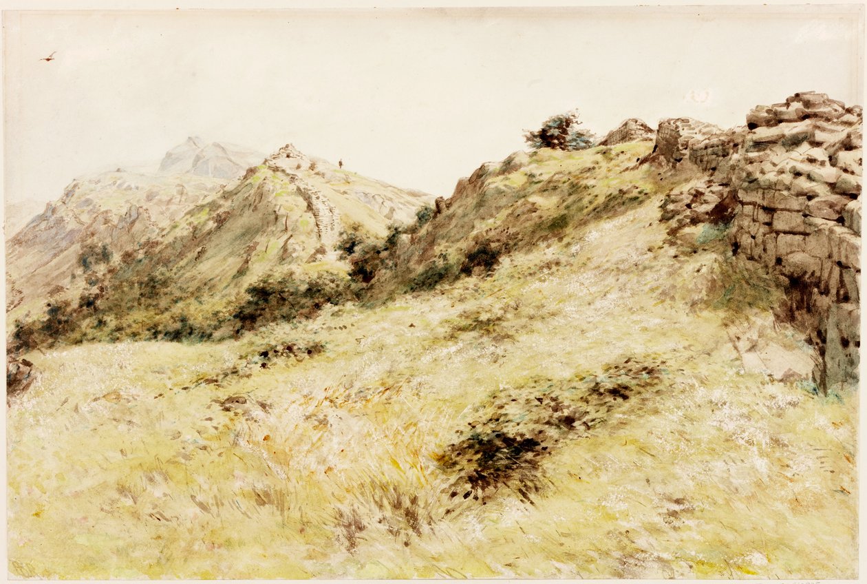 Thirlwall (gövde rengi) by Henry Burdon Richardson
