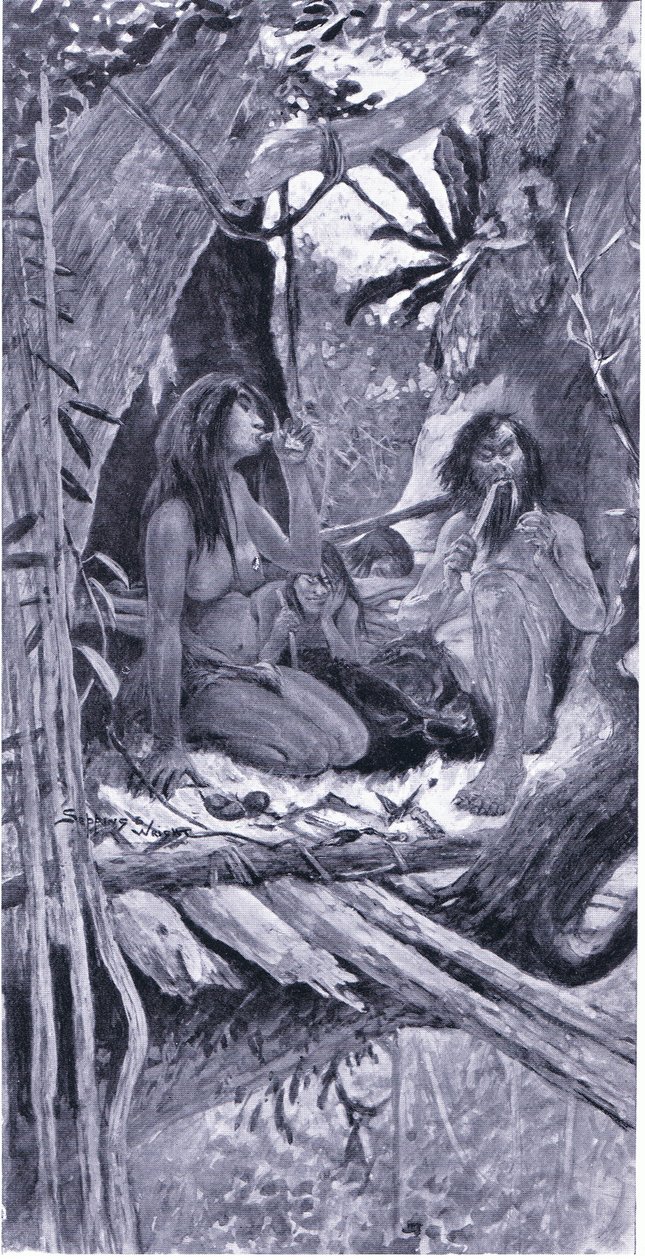 Tarih öncesi Çinli ağaç sakini by Henry Charles Seppings Wright