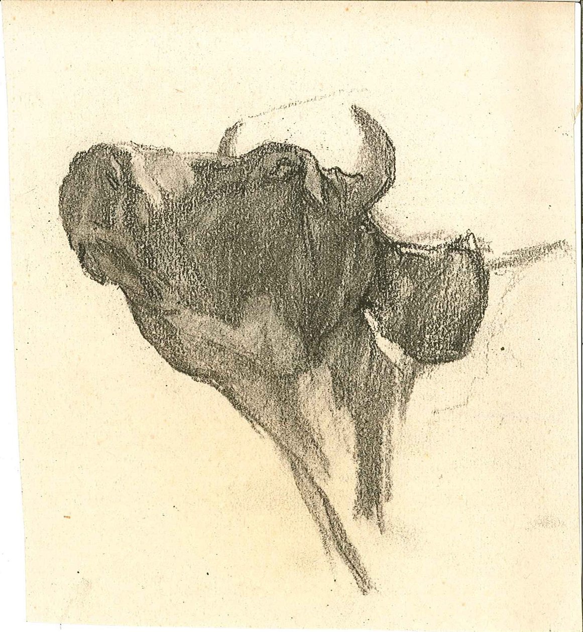 İnek by Henry Luyten