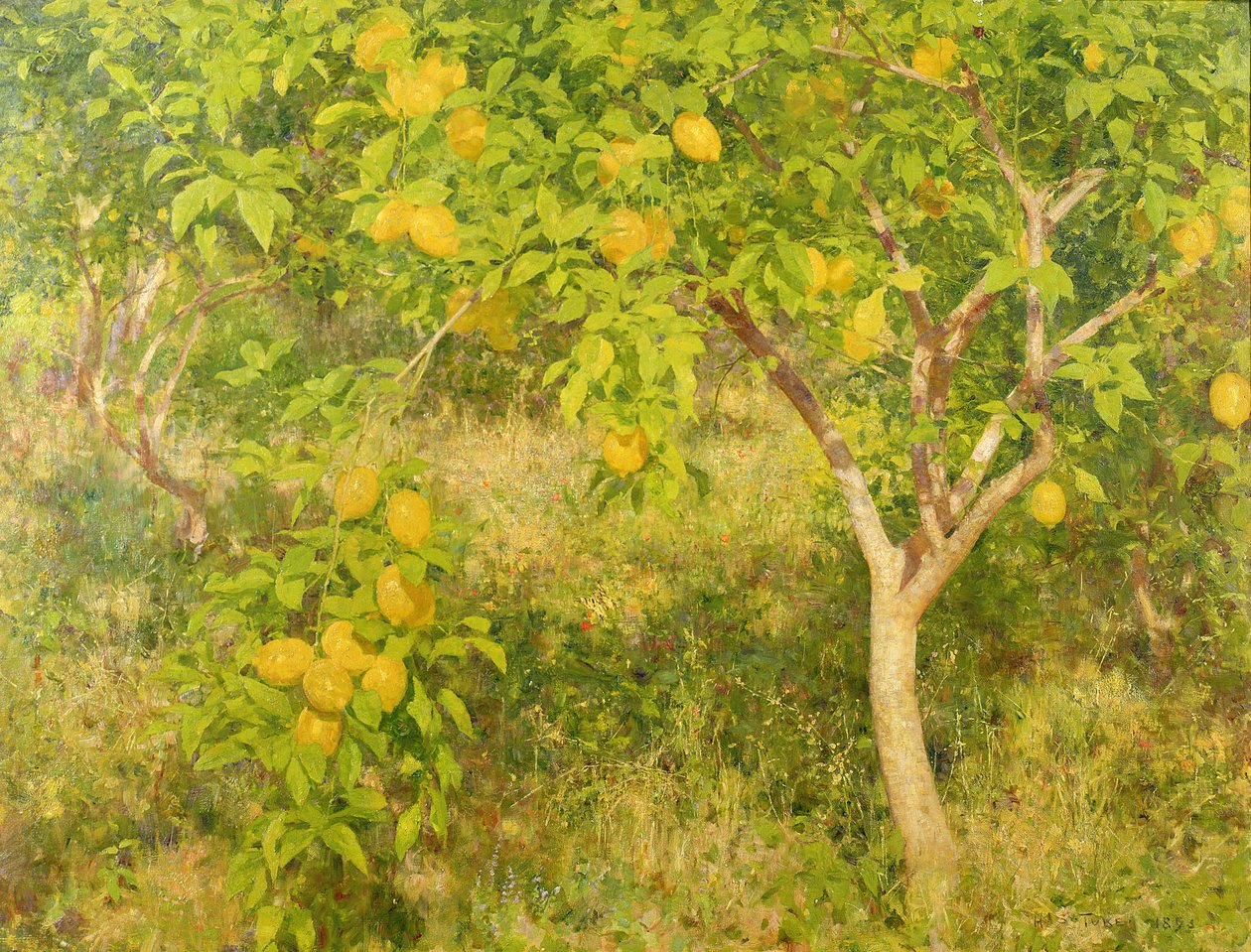 Limon Ağacı, 1893 by Henry Scott Tuke