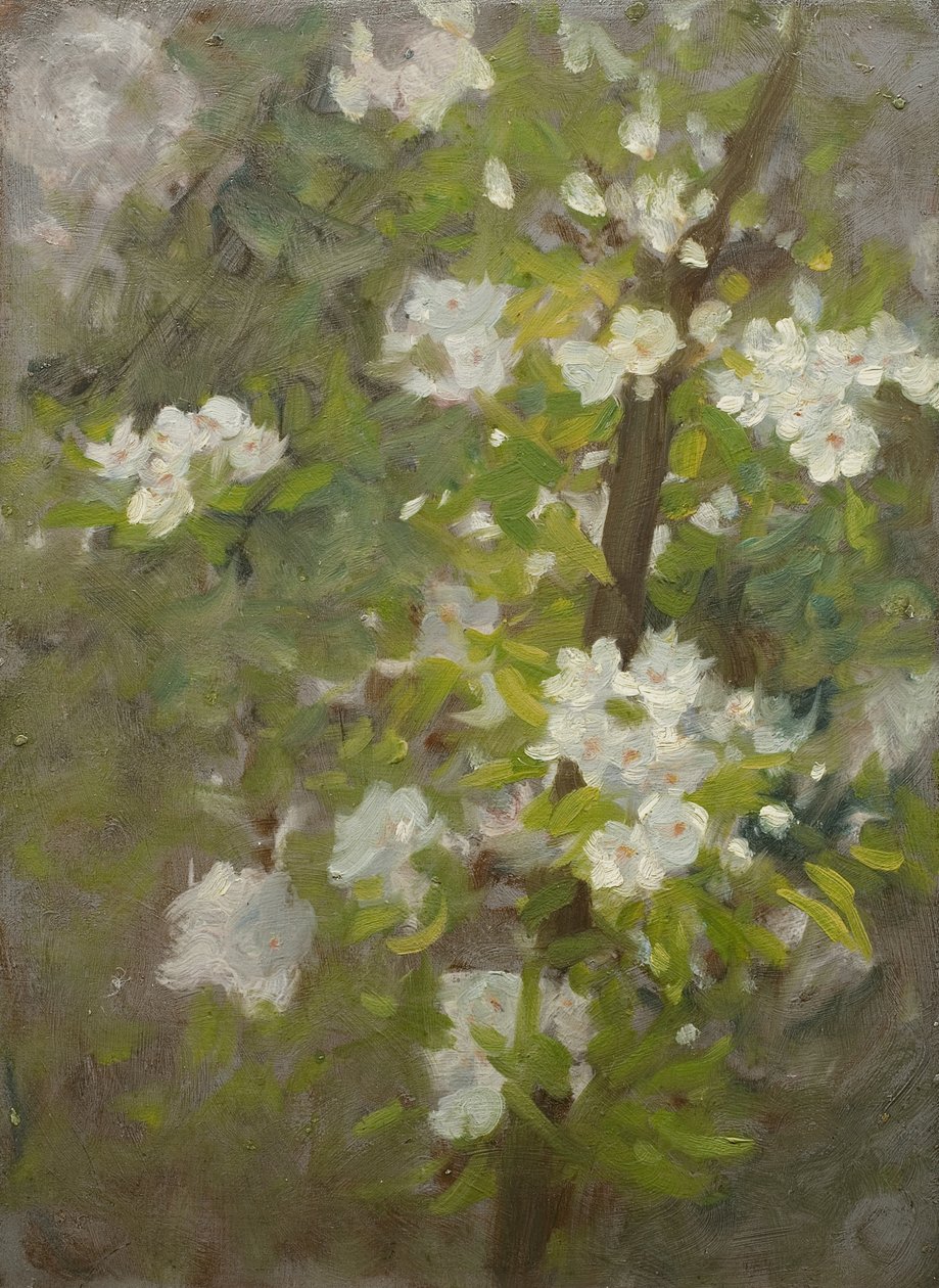 beyaz çiçek by Henry Scott Tuke