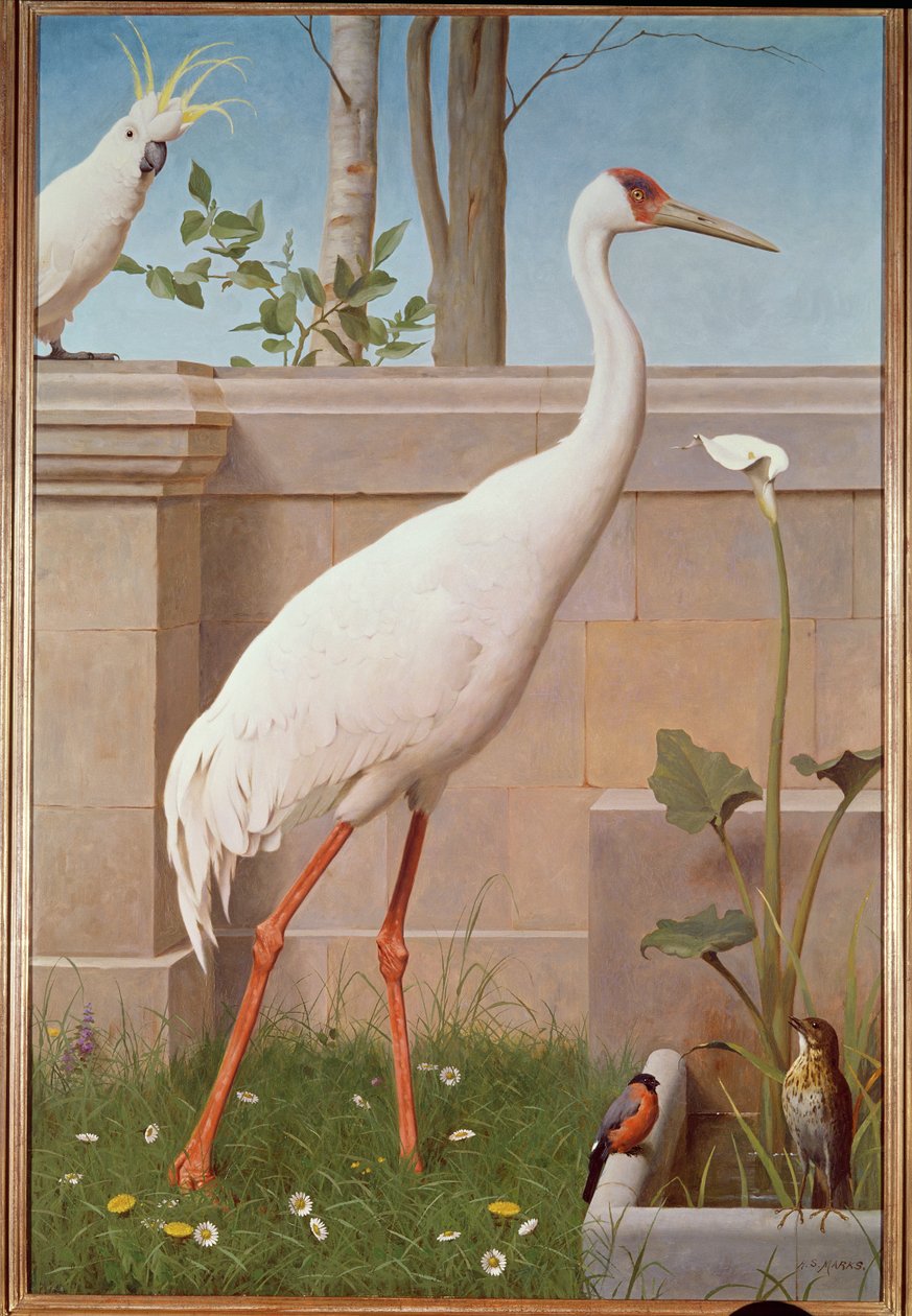 Hint turnası, kakadu, şakrak kuşu ve ardıç kuşu by Henry Stacey Marks