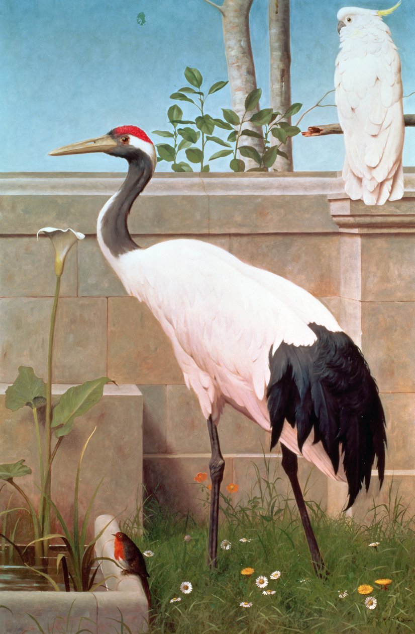 Mançurya Turna, Kakadu ve Robin by Henry Stacey Marks