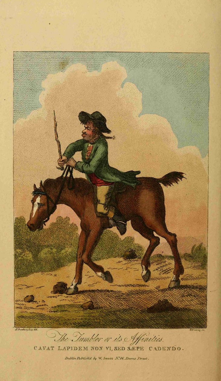 Binicilik Yıllıkları by Henry William