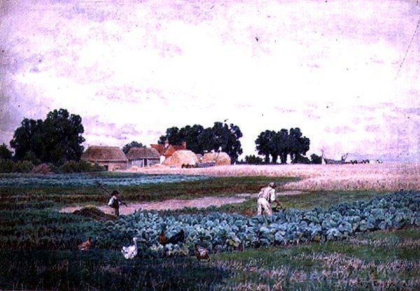 Lahana Tarlası ve Çiftliği by Henry Bailey