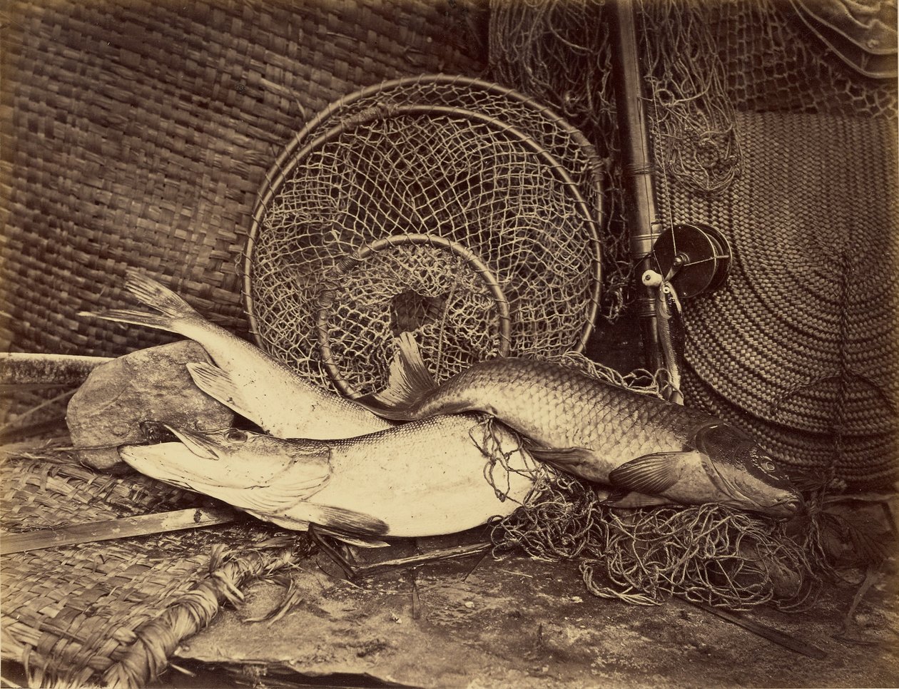  by Henry Bailey