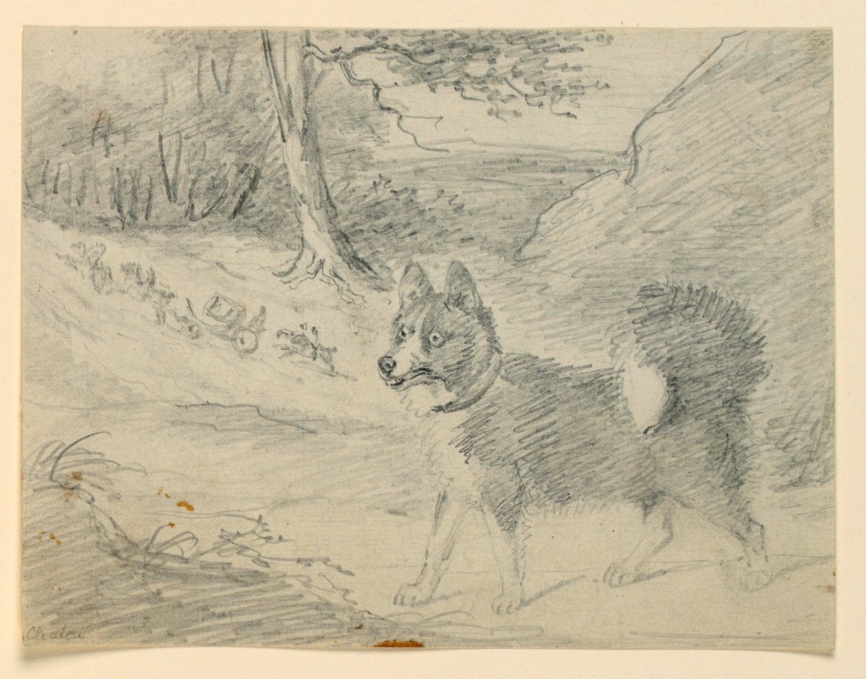 Bir Elk Hound Çalışması by Henry Bernard Chalon